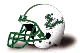 South Florida Helmet South Florida Helmet