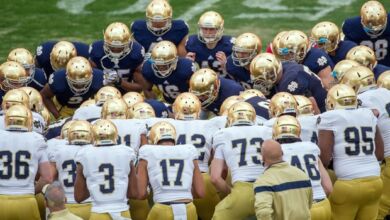 2014 notre dame blue gold