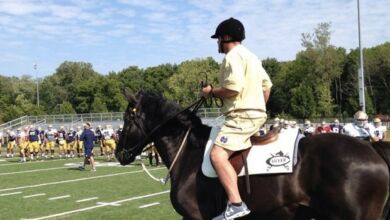 brian kelly horse