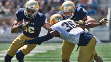 Equanimeous St. Brown - Notre Dame WR