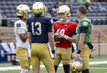 dmp240420066 nd springgame